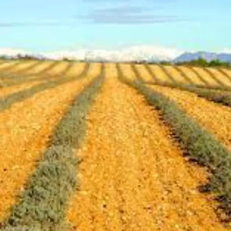 Douillet A - 30 M² - Terrasse 아파트