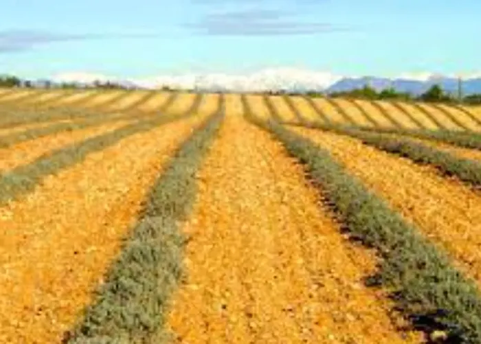 Douillet A - 30 M² - Terrasse Apartment